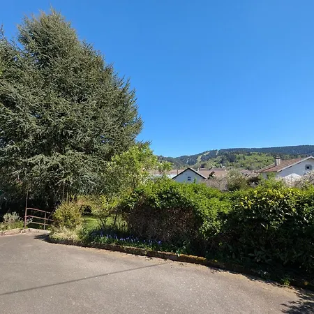 Ferienhaus Maison A Avec Vue Sur Montagnes, Garage Et Jardin - Fr-1-589-776 Gérardmer